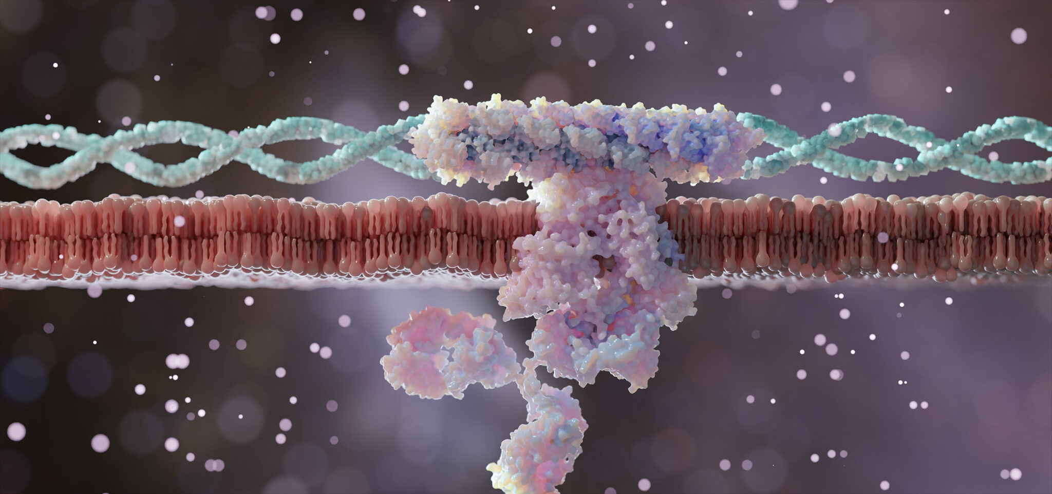 SynEry An alternative to blood products